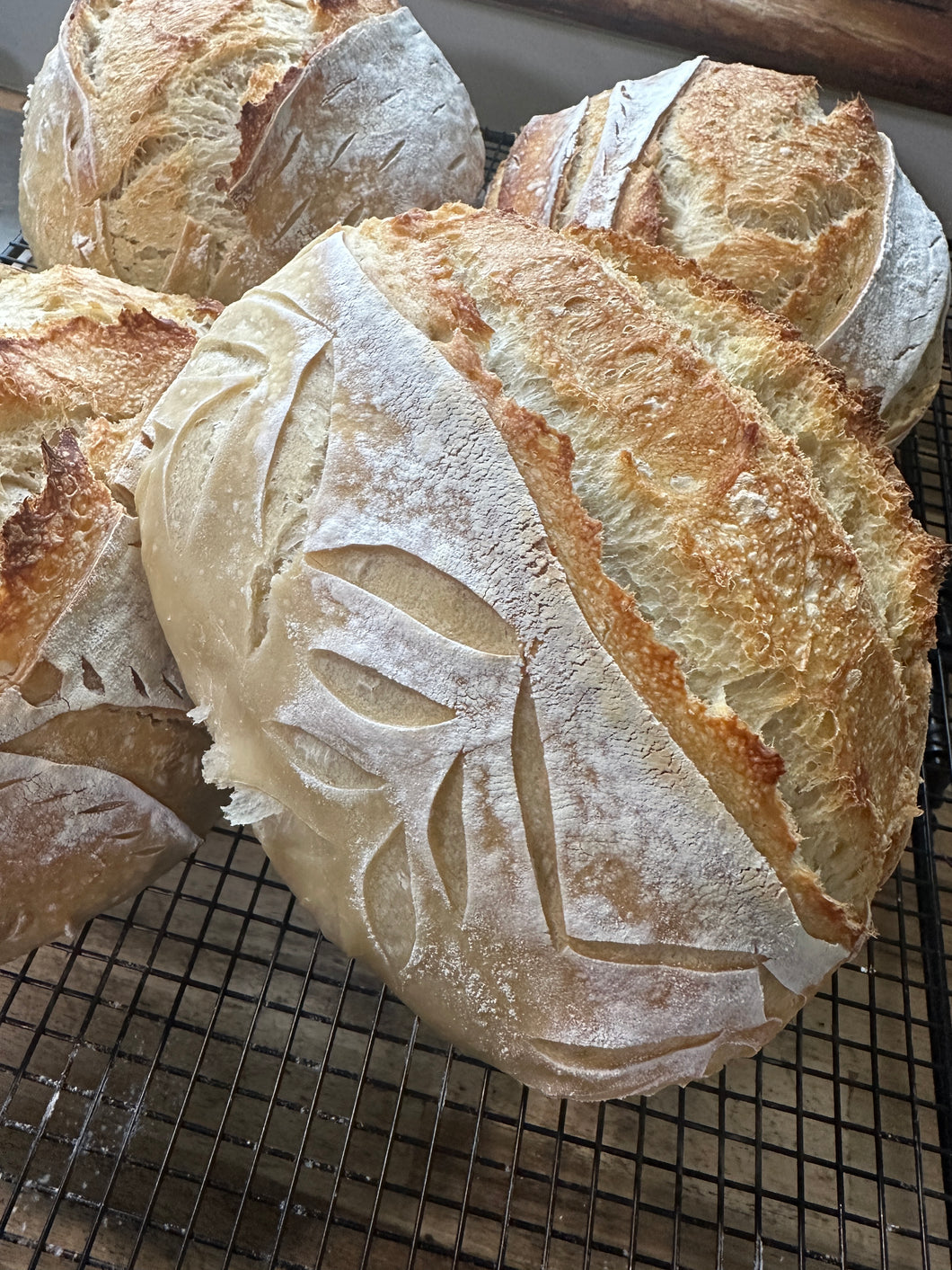 Sourdough Bread Starter Class 11/15 5:30-7:30 CST